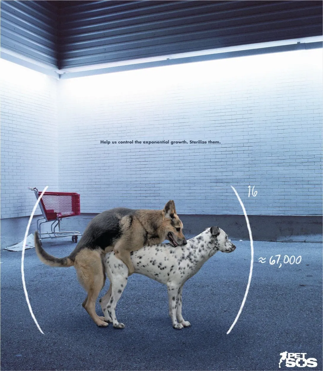 Pet SOS