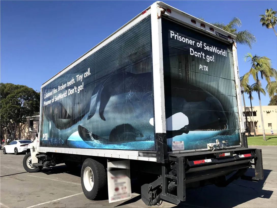 PETA advertisement