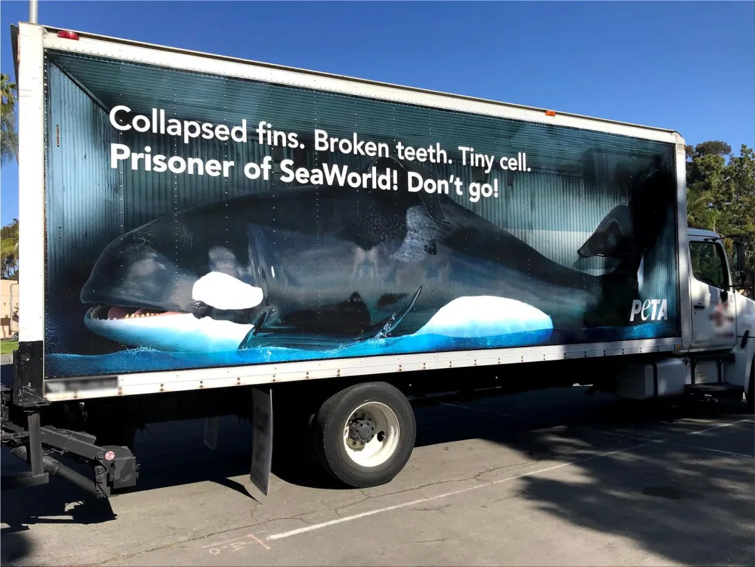 PETA advertisement