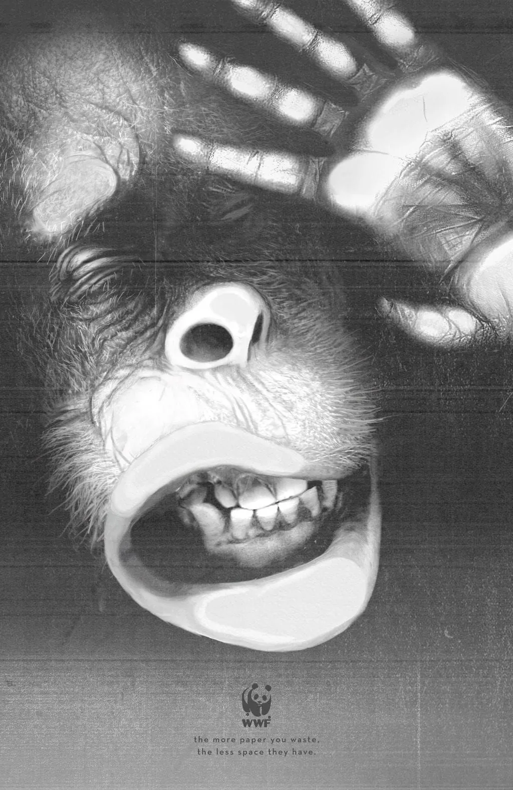 WWF
