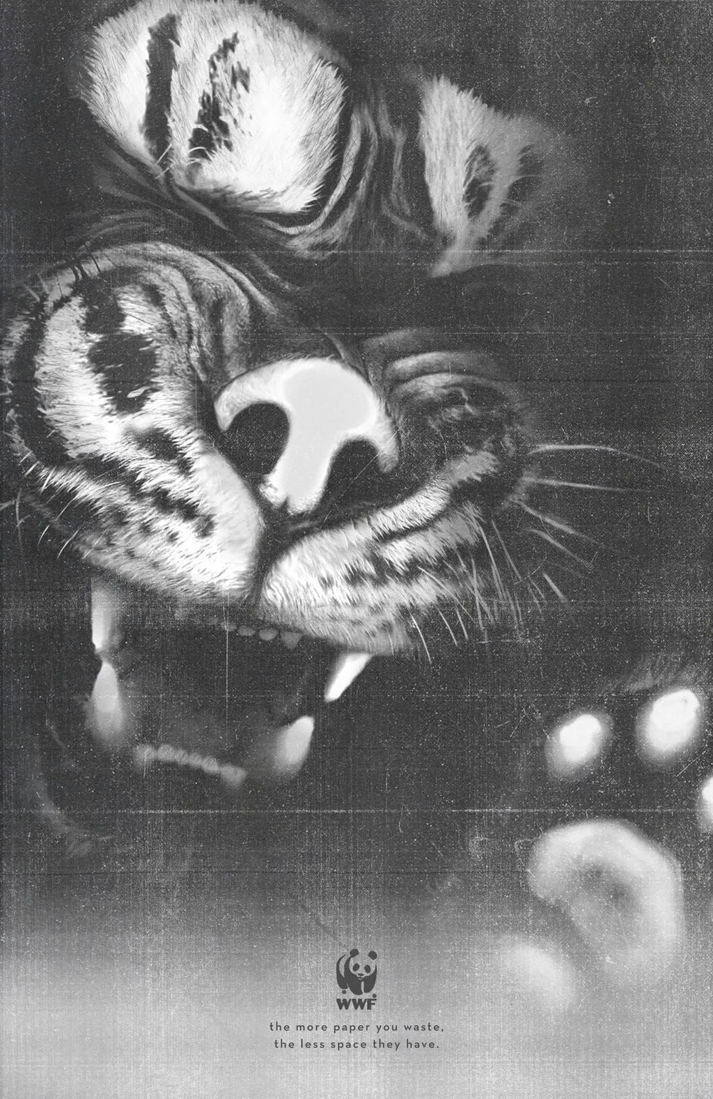 WWF